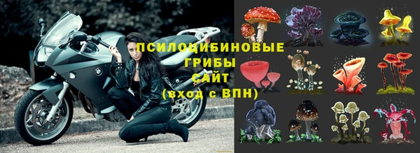 бошки Абинск