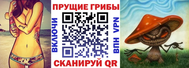 Галлюциногенные грибы мицелий  магазин продажи наркотиков  ОМГ ОМГ   Алдан 